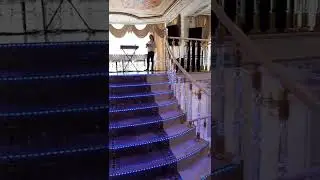Президиум молодожёнов