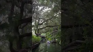 Love these views of the Winter Park Chain of Lakes