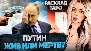 ЖИВ ИЛИ МЕРТВ ПУТИН? 🏴‍☠️