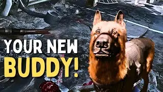 You’re Not Alone! - [ Arizona Sunshine 2 ] VR Game Review