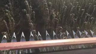 Безрядковая жатка для подсолнуха от ростсельмаш