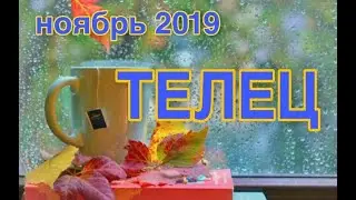 ТЕЛЕЦ ♉ НОЯБРЬ 2019 ☔ ТАРО ПРОГНОЗ 