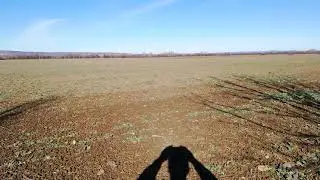 Нива край село Русаля - 01.02.2019 г.