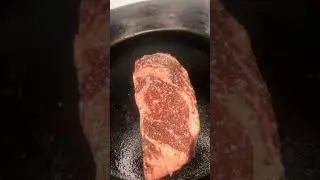 MOO