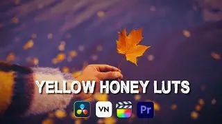 Free 50 Yellow Honey Luts | How To Use Luts In Adobe Premiere Pro