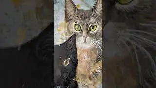 Acrylic painting Cats portrait🐈‍⬛🐈size 60x70 cm | Картина акрилом Портрет котиков