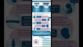 Stem Cells