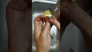 как чистить лесные грибы