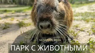 Барановичи и Новогрудок | Лучший зоопарк России и Беларуси Диприз | Необычные достопримечательности