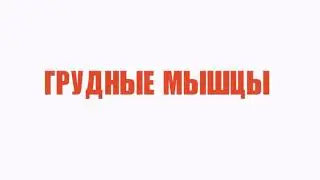 Раскачиваем мышцы груди