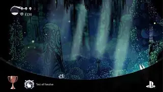 Hollow Knight: Voidheart Edition