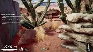 (2) Arid - Desert Exploration