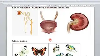 DTM-2022 BIOLOGIYA 10-AVGUST 1-simena , 9-AVGUST 2-simena BIOLOGIYA fanidan tushgan savollar TAXLILI