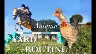 AUTUMN YARD ROUTINE | Vlog