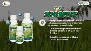 Hasil menggunakan Biomax dan Tandem 325 SC pada tanaman padi