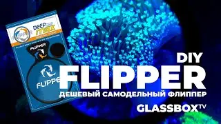 DIY - Flipper своими руками