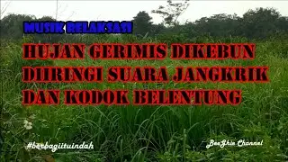 HUJAN GERIMIS, DI IRINGI SUARA JANGKRIK DAN KODOK BELENTUNG (Garden Song)