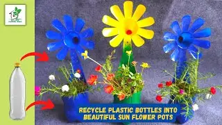 Recycle Plastic Bottles into Beautiful Sun Flower Pots | Recycled Plastic Bottles to Grow Moss Roses