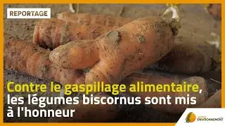 Contre le gaspillage alimentaire, les légumes biscornus sont mis à l'honneur