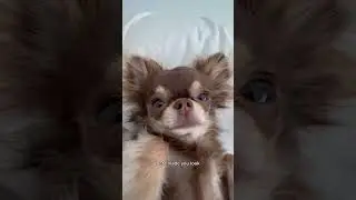 Did I make you look?? 👀❤️