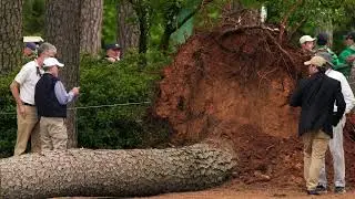 Masters 2023  Trees Fall Into Gallery at Augusta National; No Injuries Reported