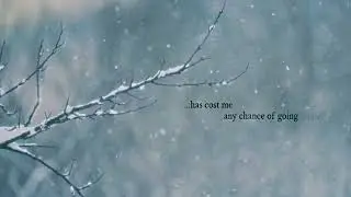 David Starr | Any Chance Of Going Home