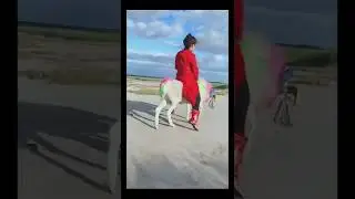 Girl rides her sheep #5