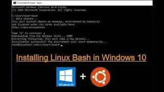 How to install Linux terminal on windows 10