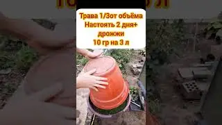продлеваем плодоношение огурцов