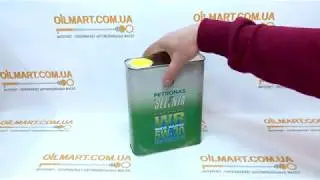 Моторное масло Selenia WR PURE ENERGY 5W-30 2 литра