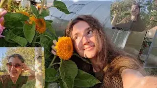 ASMR На Даче 🍃🌿🌺 ~ Outdoor Fast and Agressive triggers ❤️‍🔥 ~ Lo-fi 😴🌠
