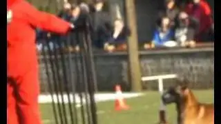 Eriem van het Beenhouwerke - NVBK