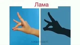Ата-аналарға кеңес Тақырыбы:«Көлеңке театры және оны жасау әдісі»