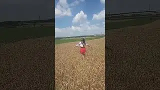 1 июля 2024 г.