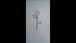 Загадочная роза, чем ни рисунок, просто рисуем.
