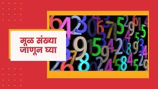 Prime Numbers |  मूळ संख्या जाणून घ्या | Pre - Algebra |