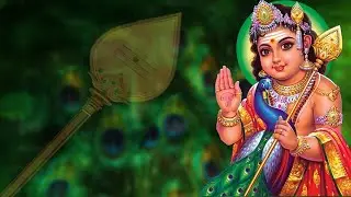 அருள்மிகு தண்டாயுதபாணி சுவாமி திருக்கோயில், பழநி குடமுழுக்கு திருவிழா