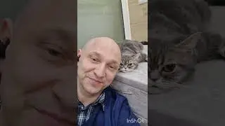 История спасения кошки Муры, операция которая даёт возможность жить.Пиометра (pyometra)