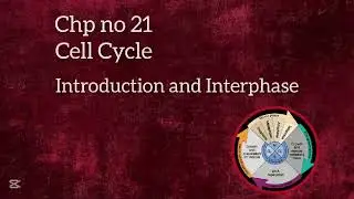 Cell Cycle | Introduction and Interphase | 2nd year Chapter no 21