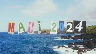 Maui 2024 🌺