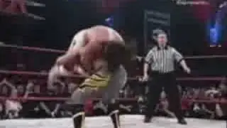 Gifs(Mostly Wrestling Gifs)