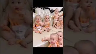 Very cute babies😍
