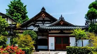 Relaxing Most Amazing Flower Gardens In The World | With Meditation Sound #nature #garden #flowers