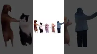 да. было. тгк mila_charm