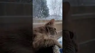 Snow is back again - 