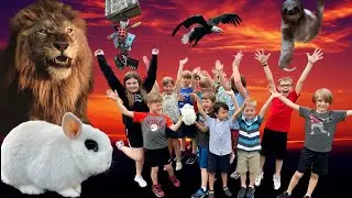 Students Save their Bunny from Dr Zoo Evil