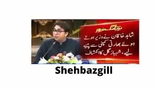 shehbazgil sahafi ki chitrol krty hoye #imrankhan #ksa #uk arynews