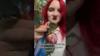 Тгк:🤡Milya Chimi🤡 