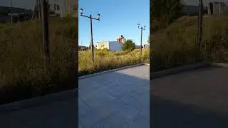 Алень где твоя ЗАРПЛАТА? #мир #природа #топ #семья #отдых
