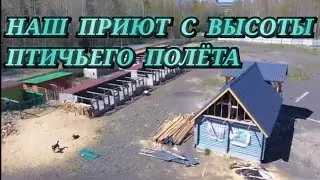 Наш приют с высоты птичьего полёта